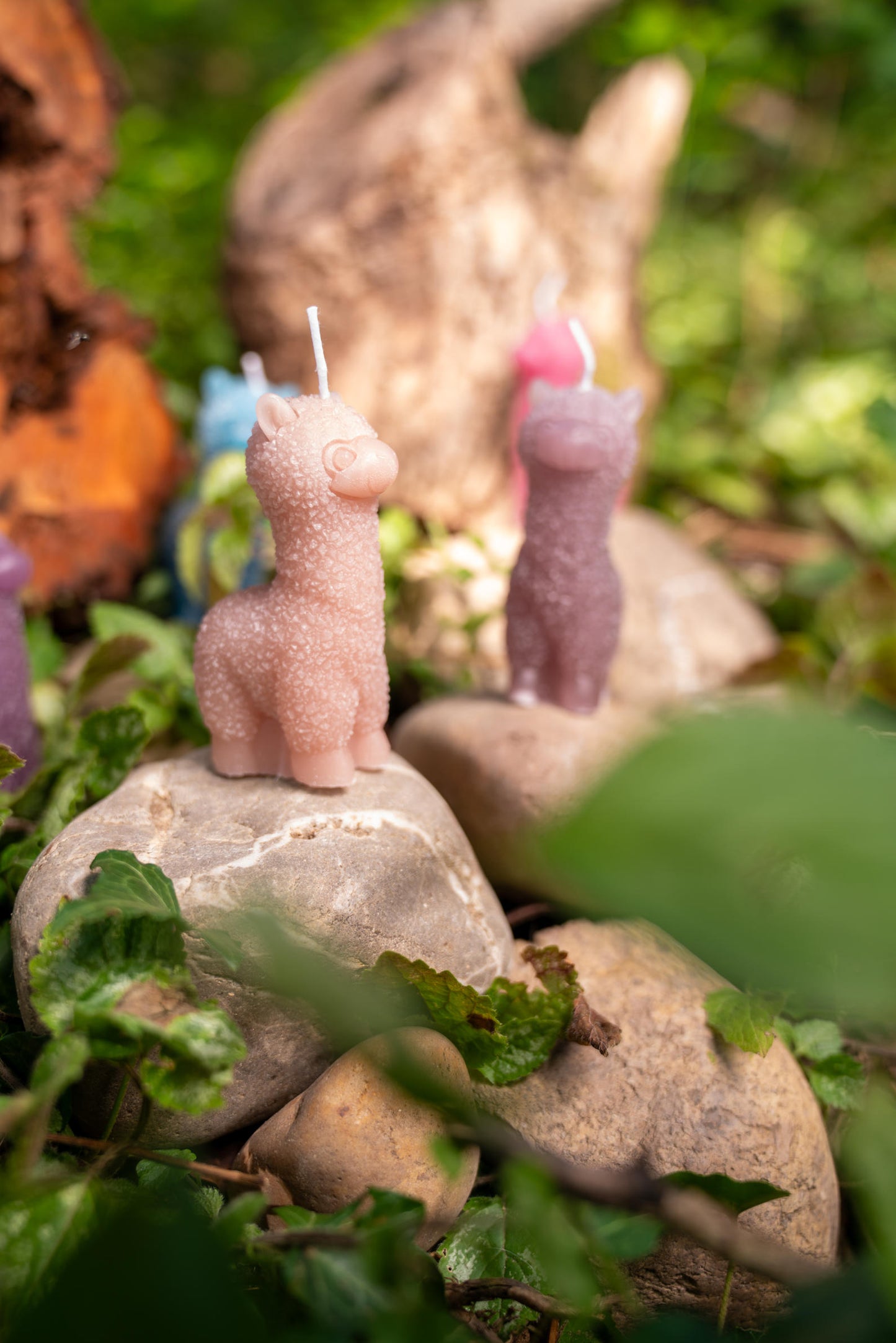 handgemachte Alpakakerze