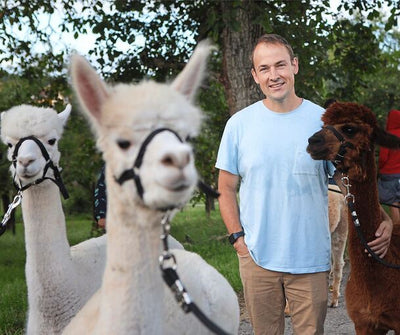 Patrick Stellmach mit drei Alpakas